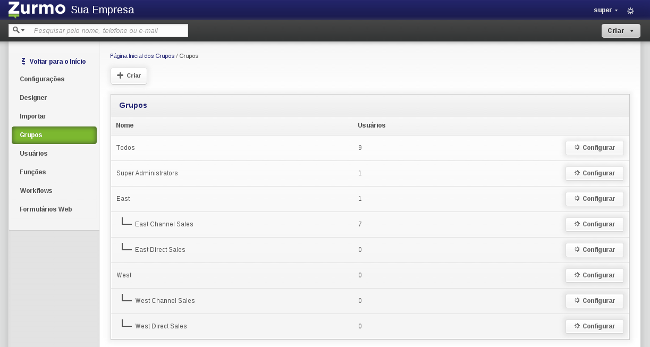 Como funciona grupos e funções no Zurmo